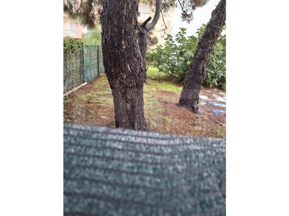 Helårsgrund i Quinta do Conde, Setubal - foto 3