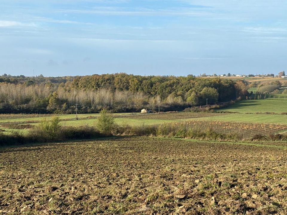 Farm i Castelviel, Gironde - foto 1