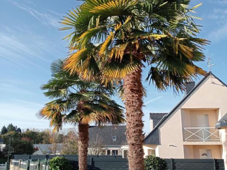 Villa i Ploermel, Morbihan - foto 3