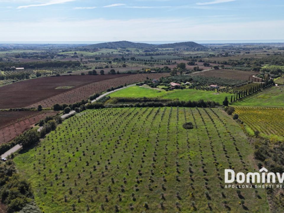 Helårsgrund i Capalbio, Grosseto - foto 2