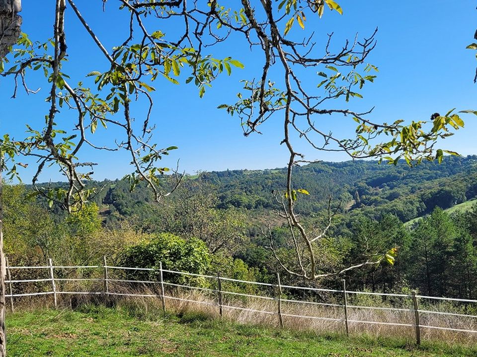 Villa i Plazac, Dordogne - foto 2