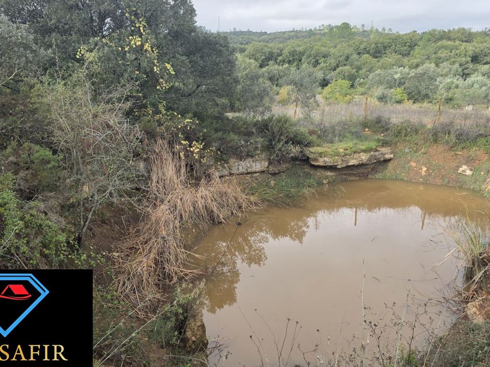 Helårsgrund i Ferreira do Zezere, Santarem - foto 1