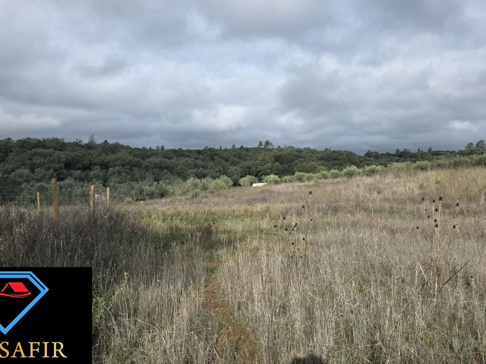 Helårsgrund i Ferreira do Zezere, Santarem - foto 2