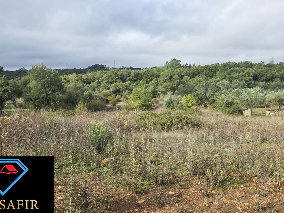 Helårsgrund i Ferreira do Zezere, Santarem - foto 3