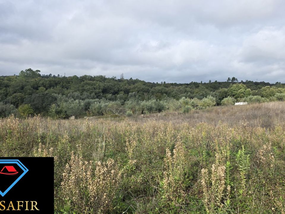Helårsgrund i Ferreira do Zezere, Santarem - foto 4