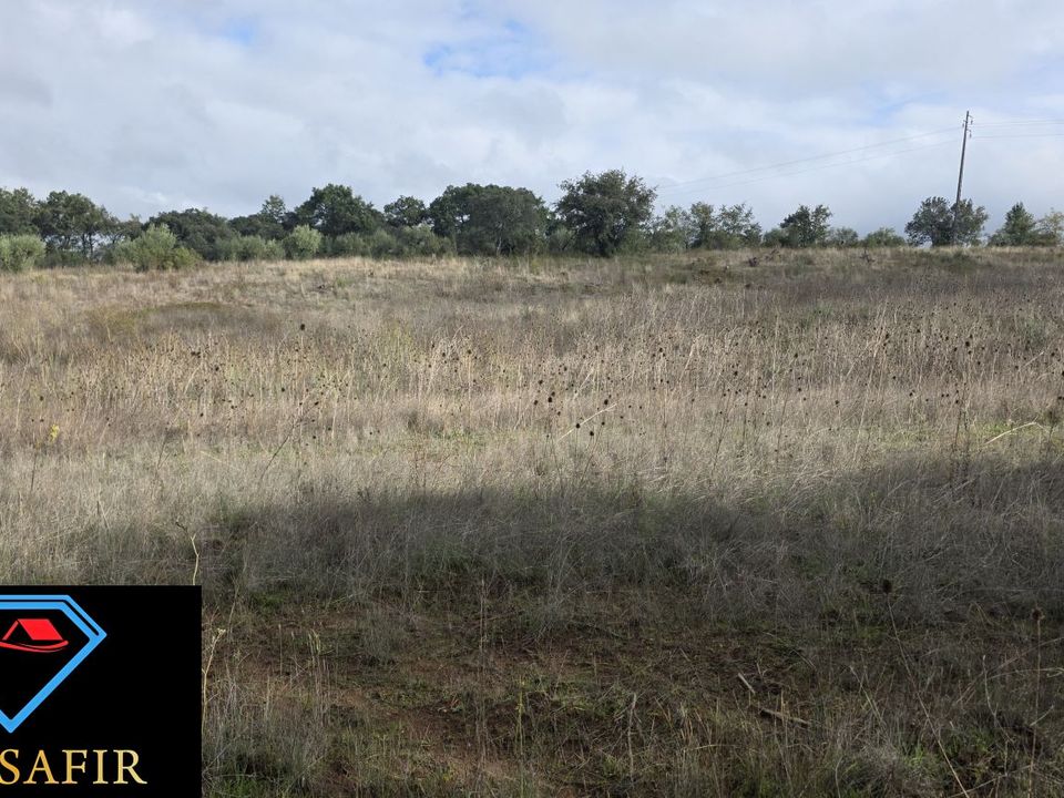 Helårsgrund i Ferreira do Zezere, Santarem - foto 5