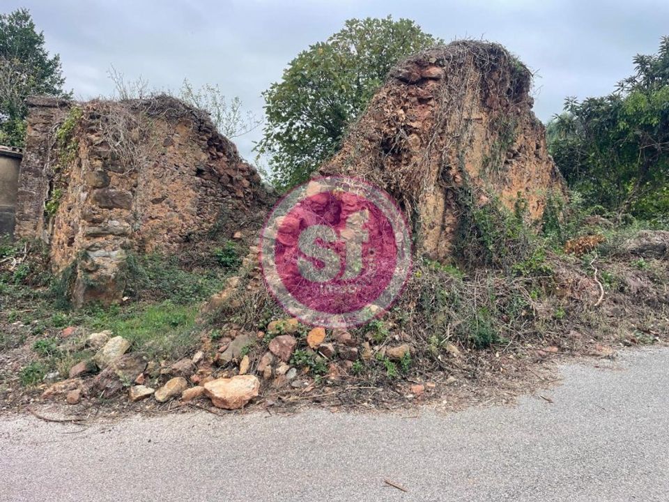 Helårsgrund i Anadia, Aveiro - foto 2