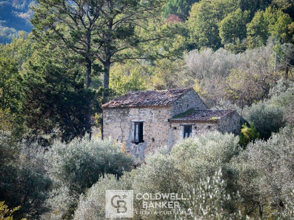 Landhuis in Omignano, Salerno - foto 1