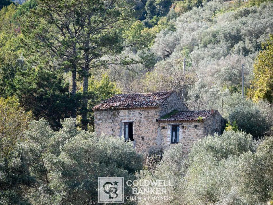 Landhuis in Omignano, Salerno - foto 3