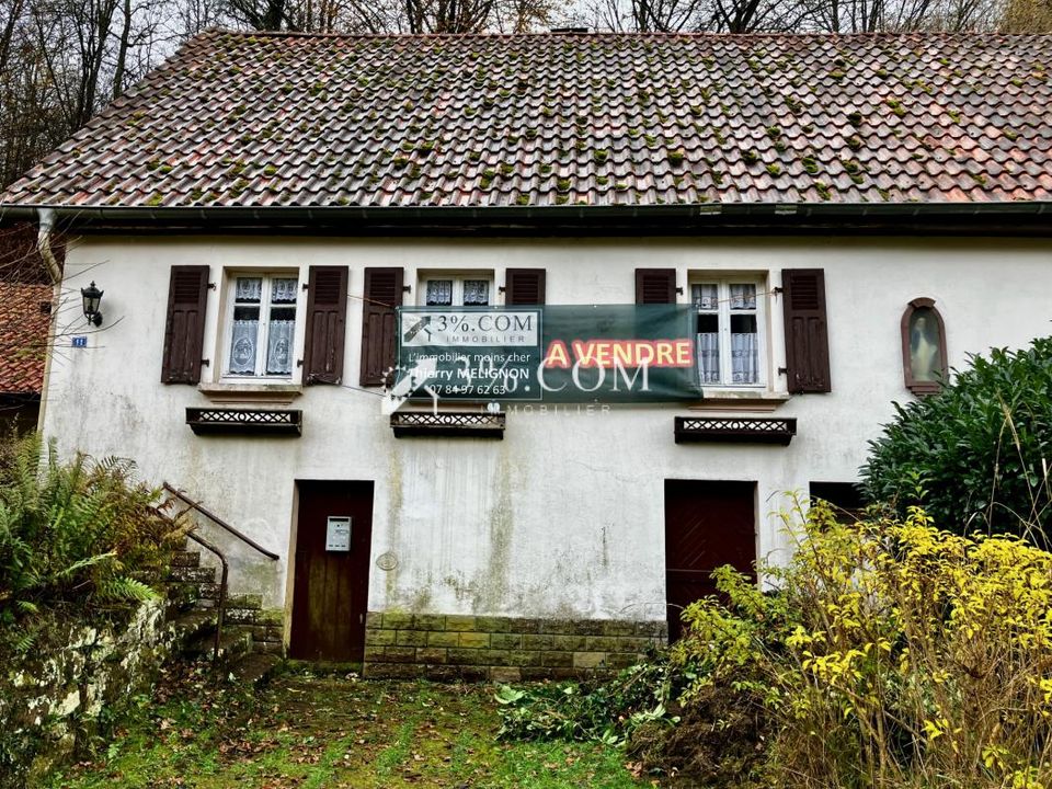 Landsbyhus i Roppeviller, Moselle - foto 1