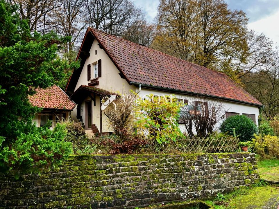 Landsbyhus i Roppeviller, Moselle - foto 3