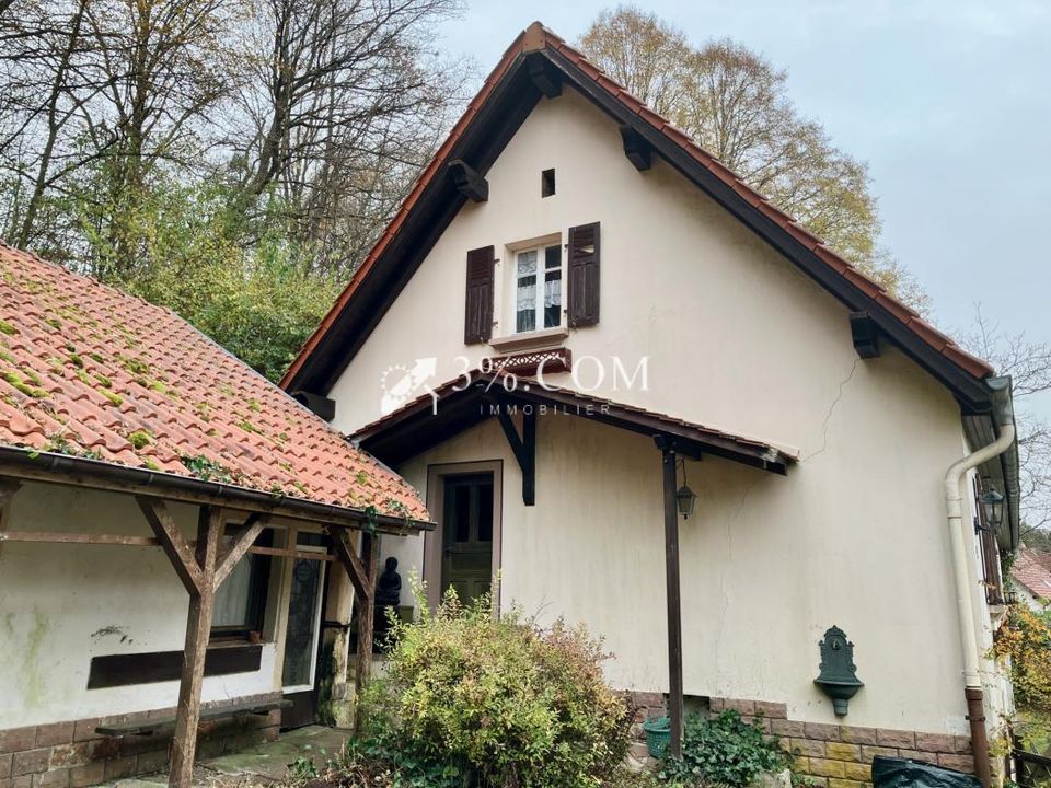Landsbyhus i Roppeviller, Moselle - foto 5