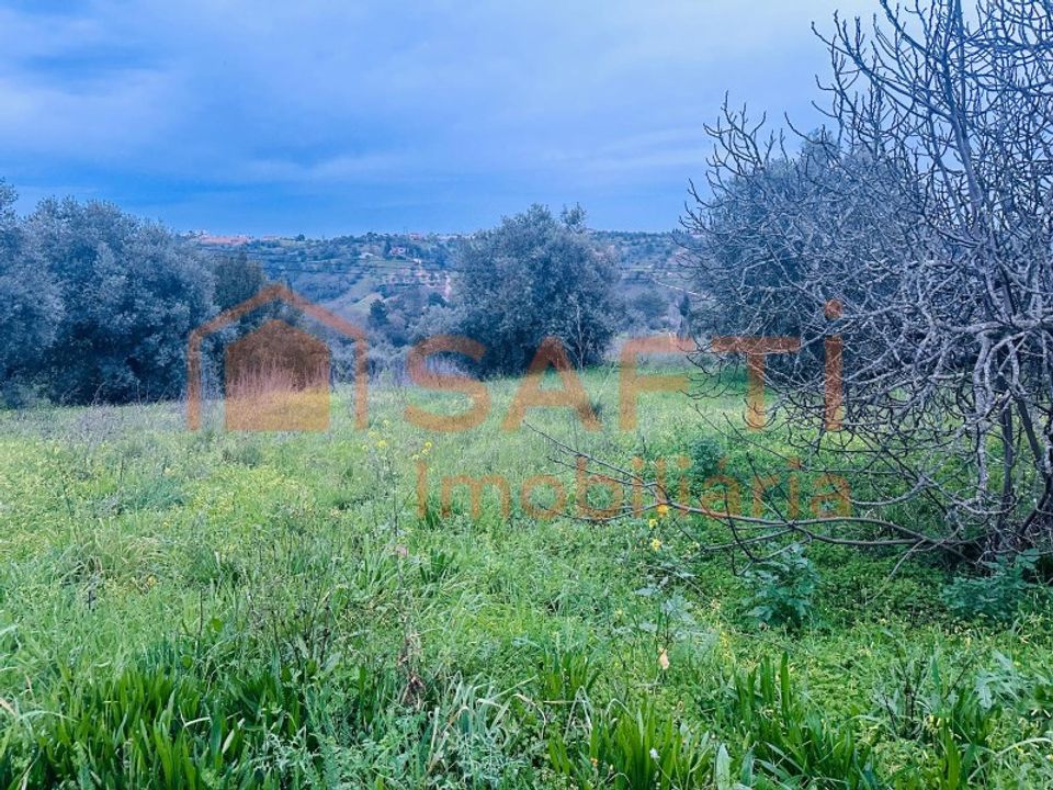 Helårsgrund i Torres Novas, Santarem - foto 2