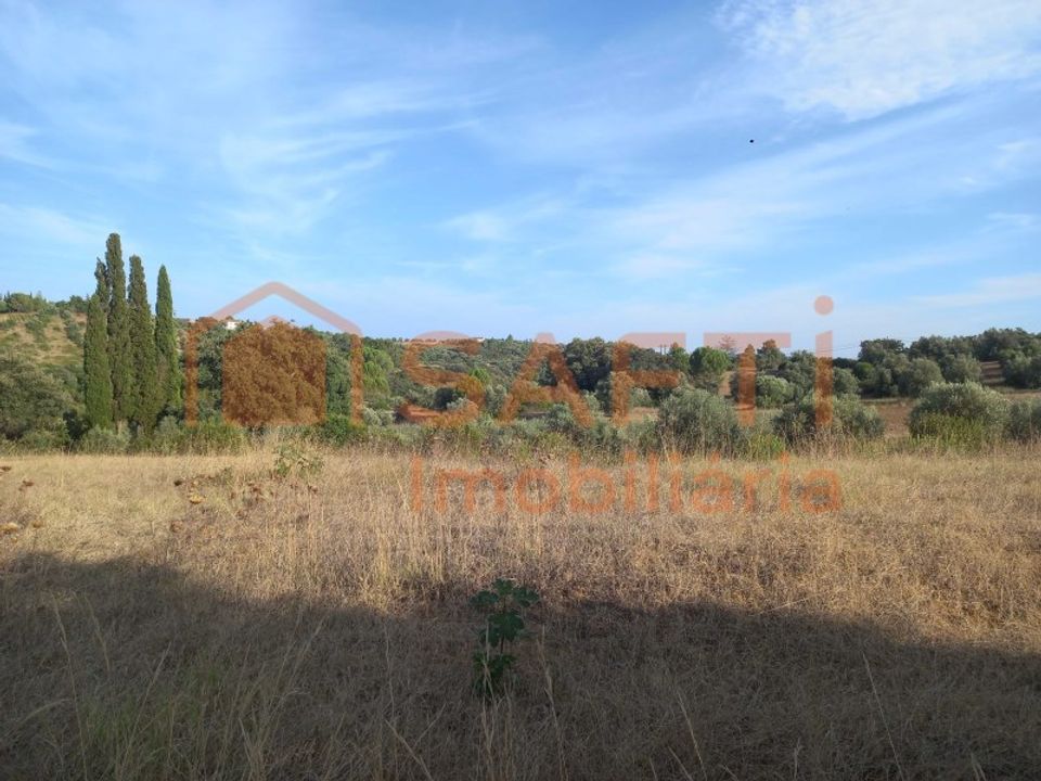 Helårsgrund i Torres Novas, Santarem - foto 5