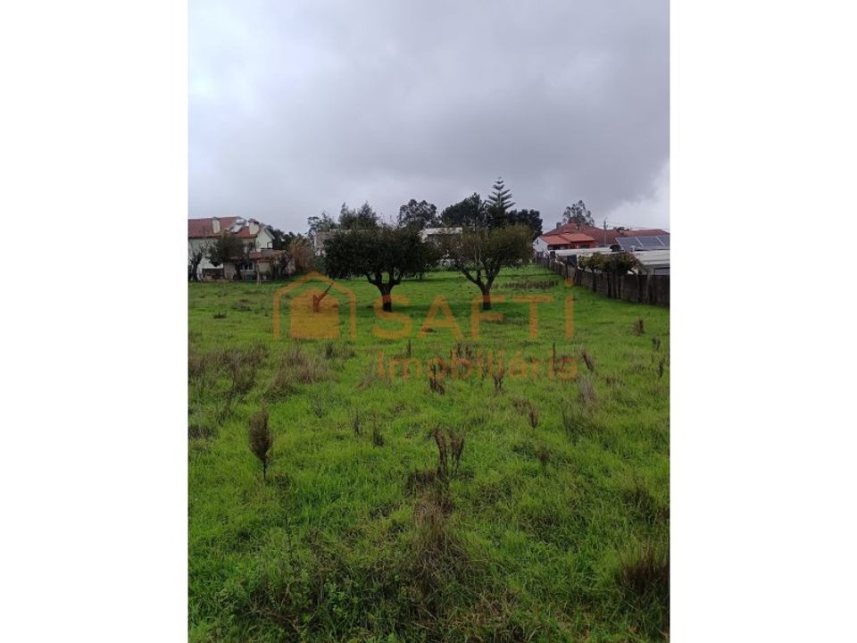 Helårsgrund i Albergaria-a-Velha, Aveiro - foto 3