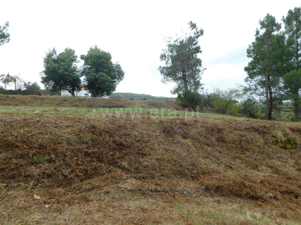 Helårsgrund i Gouveia, Guarda - foto 3