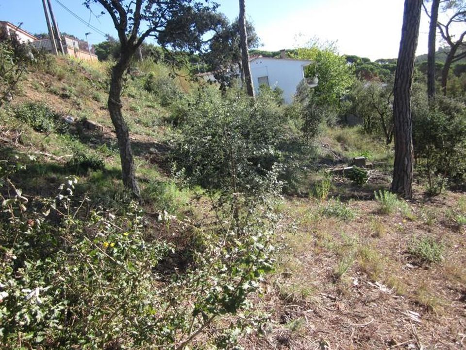 Helårsgrund i Vidreres, Gerona - foto 2