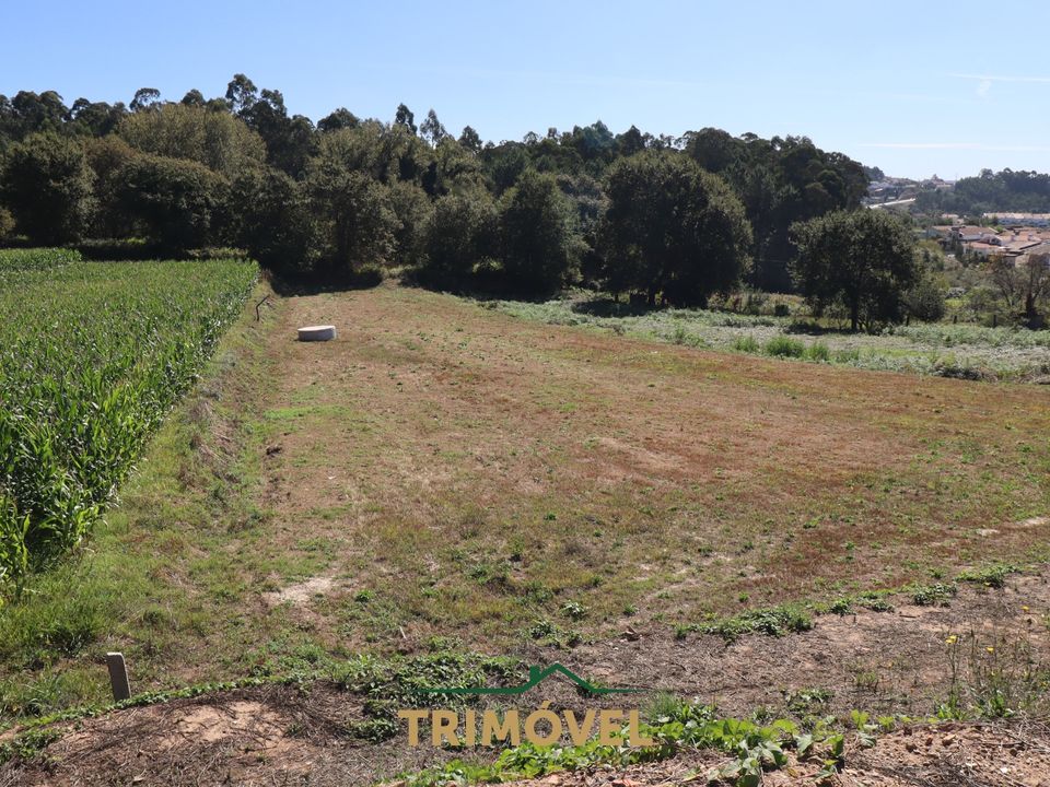 Helårsgrund i Oliveira de Azemeis, Aveiro - foto 3