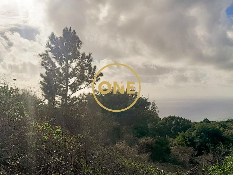 Helårsgrund i Ribeira Brava, Madeira - foto 4