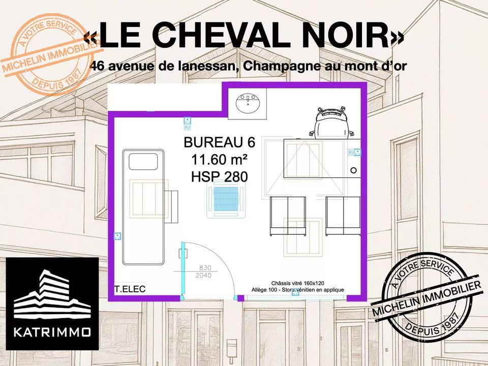 Erhvervsejendom i Champagne-au-Mont-d'Or, Rhone - foto 1