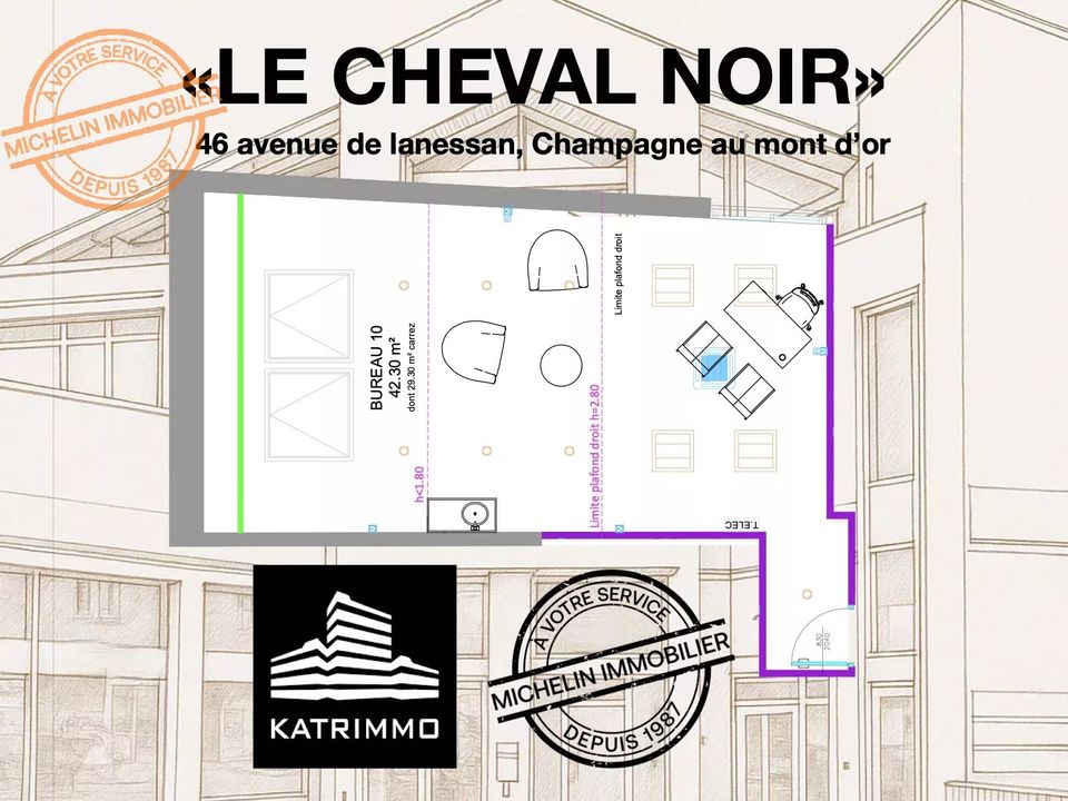 Erhvervsejendom i Champagne-au-Mont-d'Or, Rhone - foto 2