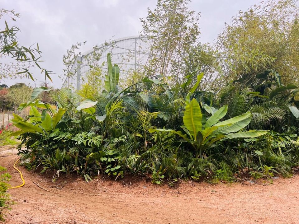 Farm i Almocageme, Lisbon - foto 4
