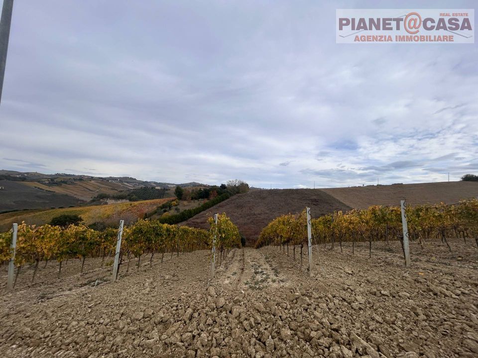 Landejendom i Monsampolo del Tronto, Ascoli Piceno - foto 3