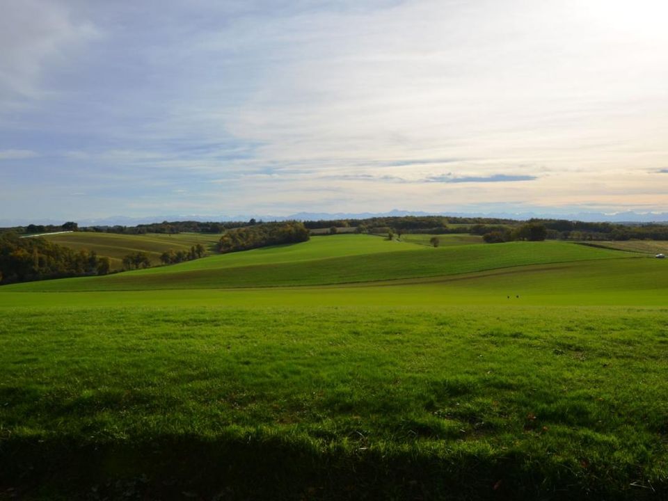 Landejendom i Montesquiou, Gers - foto 4
