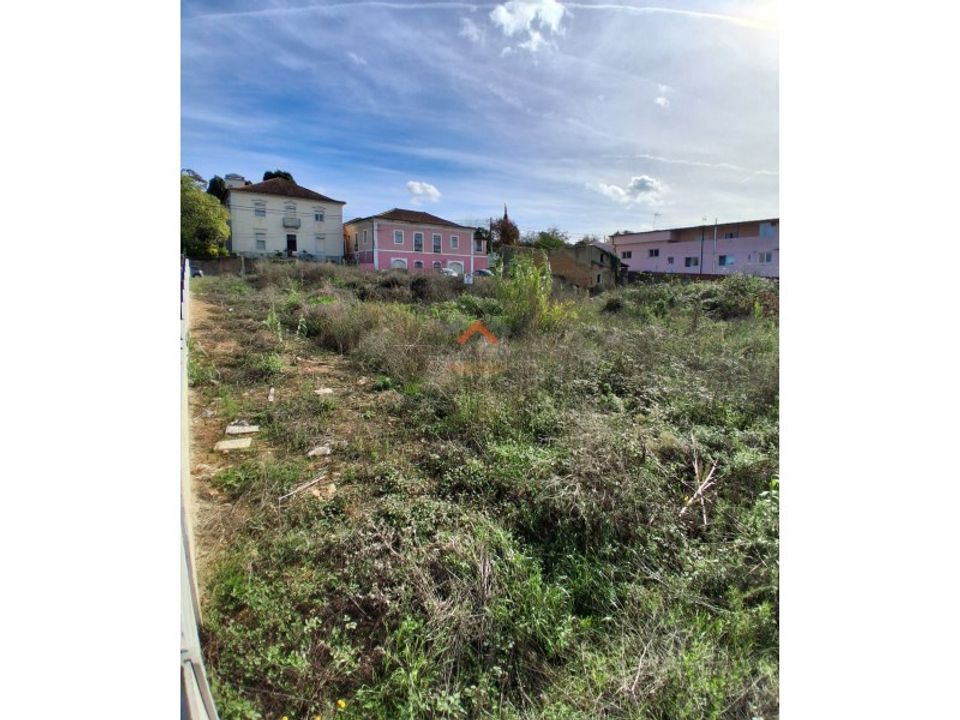 Helårsgrund i Anadia, Aveiro - foto 2