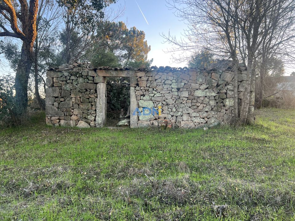 Farm hus i Castelo Branco, Castelo Branco - foto 1