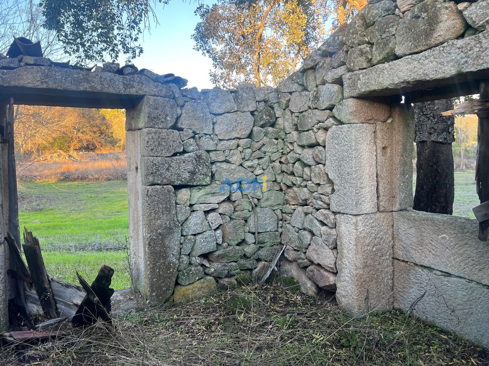 Farm hus i Castelo Branco, Castelo Branco - foto 3