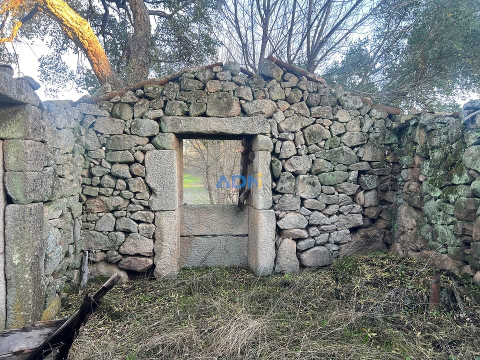 Farm hus i Castelo Branco, Castelo Branco - foto 4