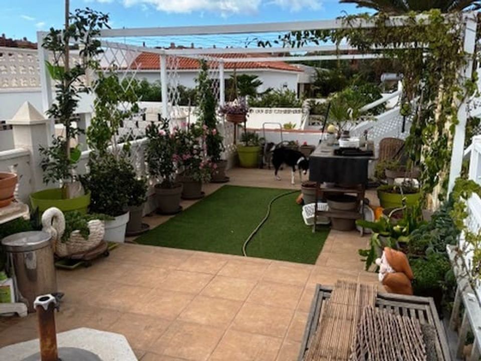 Bungalou a Palm Mar, Tenerife - foto 2