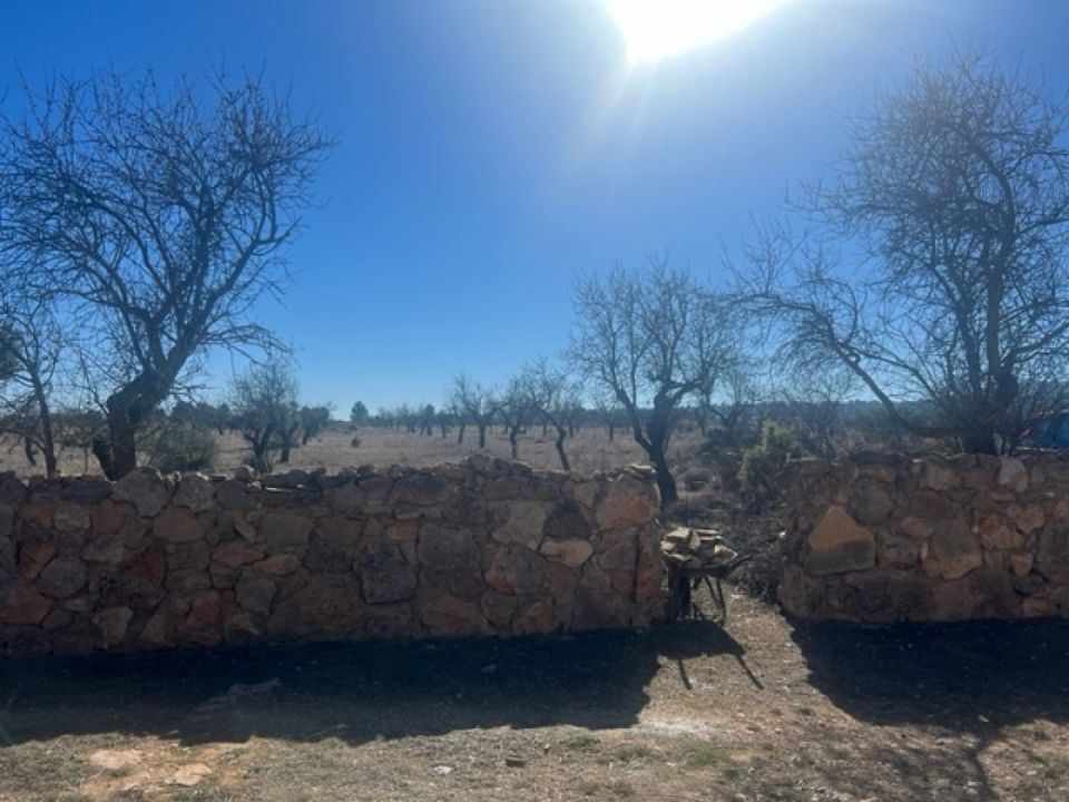 Villa i Jarafuel, Valencia - foto 2