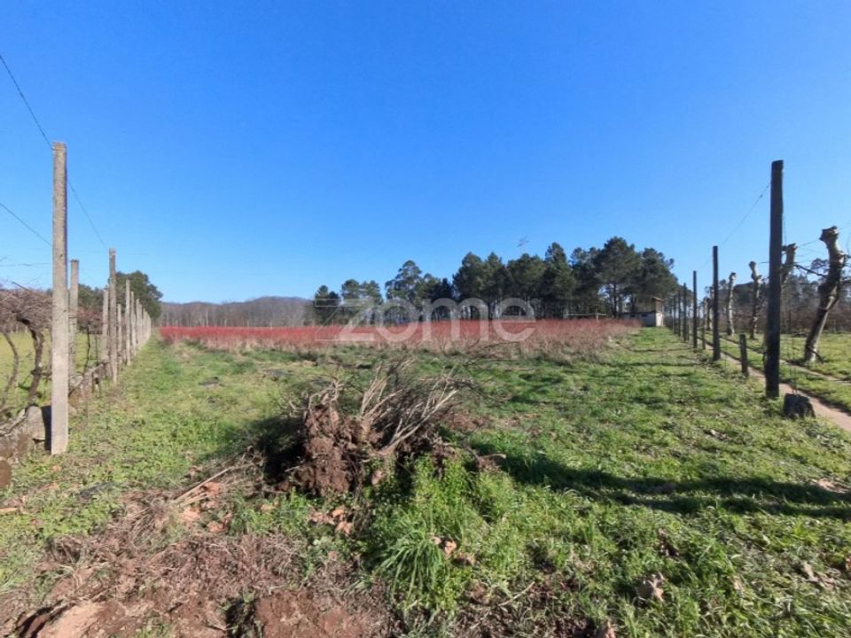 Helårsgrund i Amares, Braga - foto 2