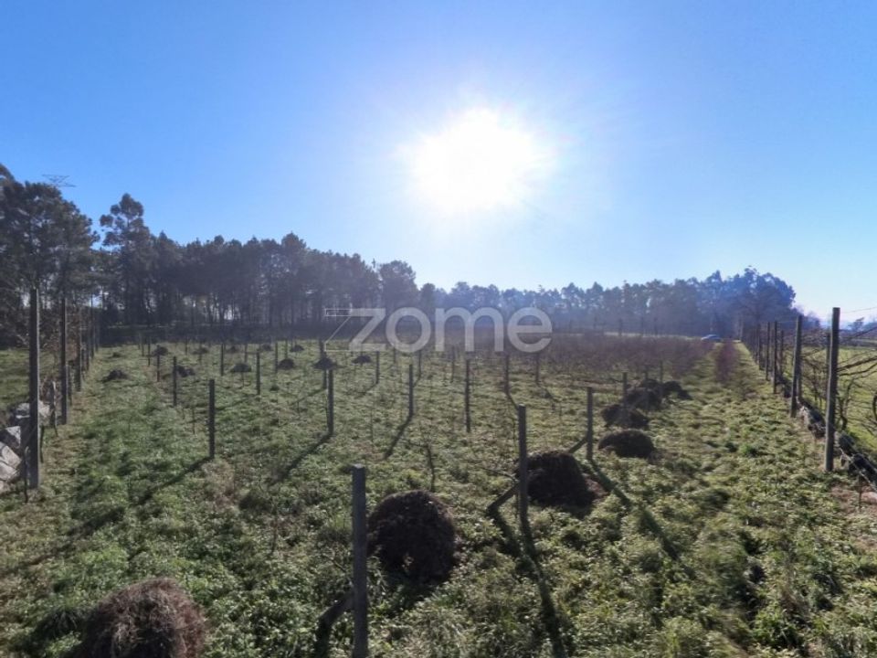 Helårsgrund i Amares, Braga - foto 3
