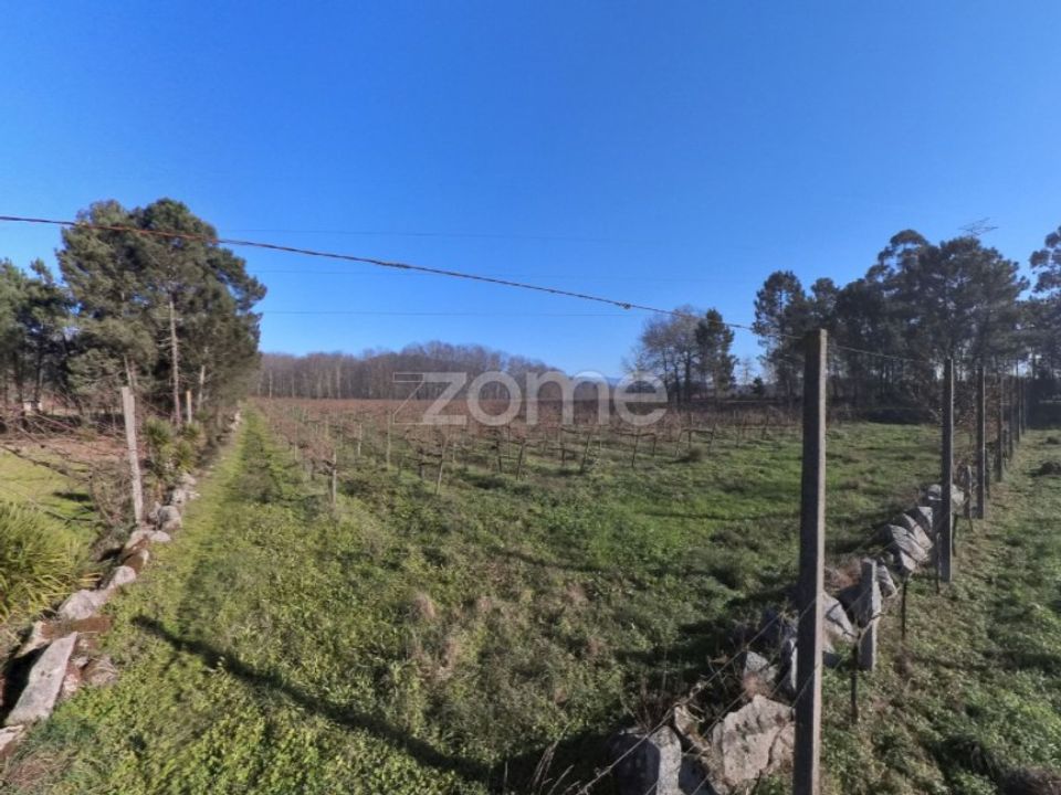 Helårsgrund i Amares, Braga - foto 4