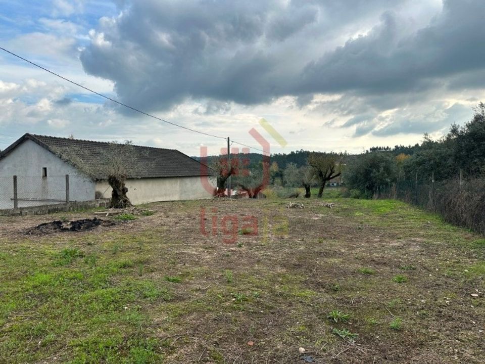 Helårsgrund i Ourem, Santarem - foto 4
