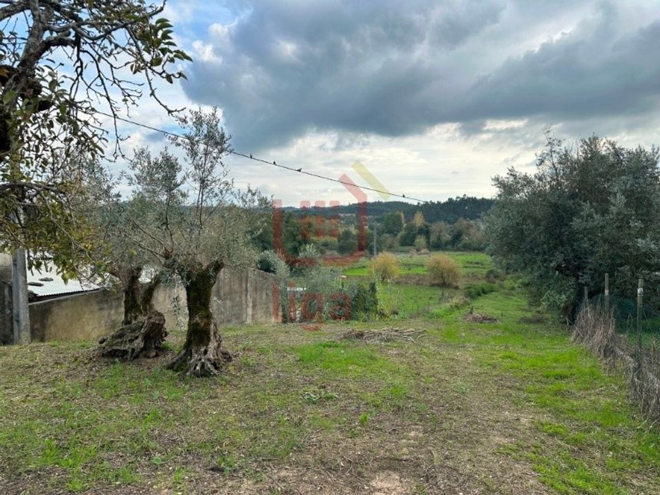 Helårsgrund i Ourem, Santarem - foto 5