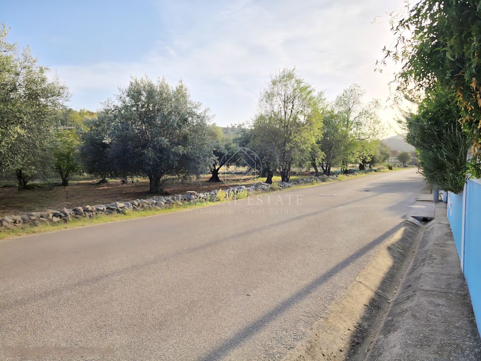 Villa i Torres Novas, Santarem - foto 4
