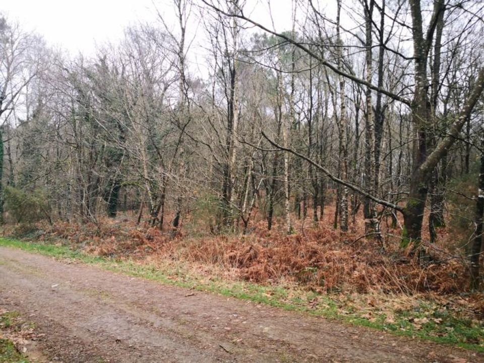 Helårsgrund i Peaule, Morbihan - foto 3