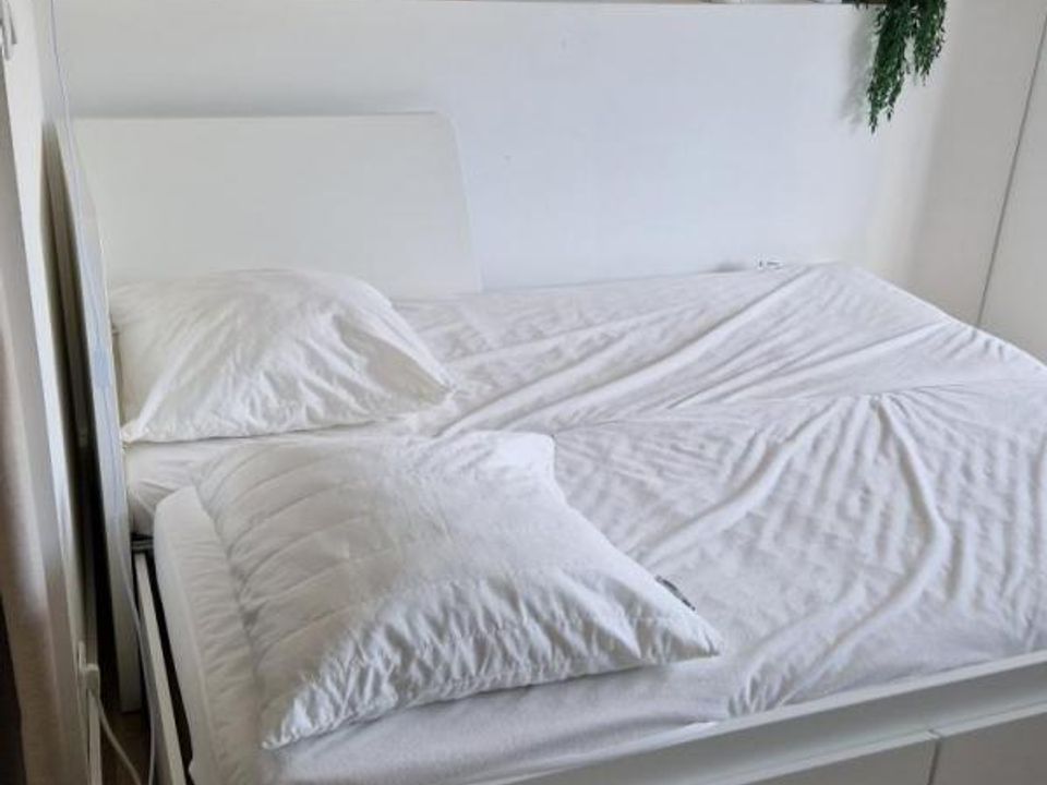 Studio i Saint-Cyprien, Pyrenees-Orientales - foto 3