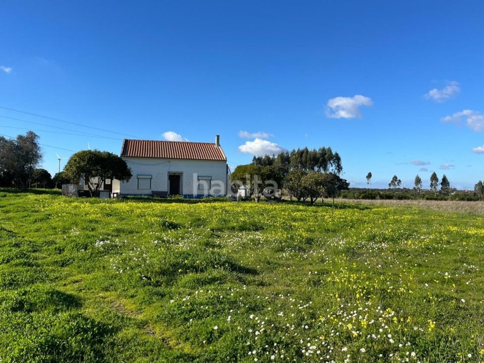 Gård i Cercal do Alentejo, Setubal - bilde 2