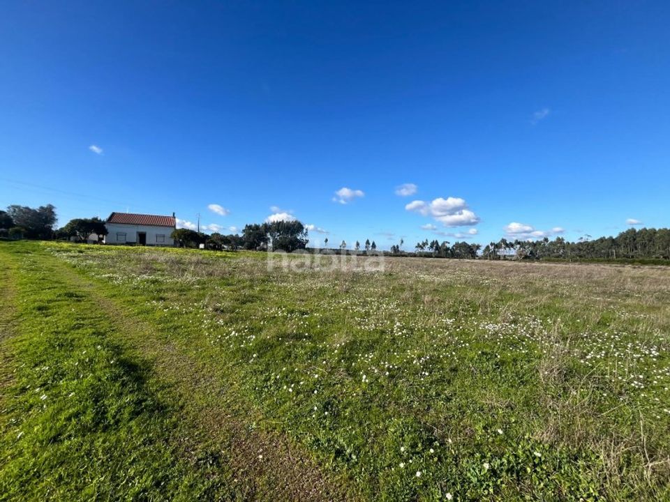 Gård i Cercal do Alentejo, Setubal - bilde 3