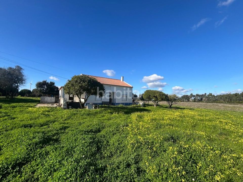 Gård i Cercal do Alentejo, Setubal - bilde 4