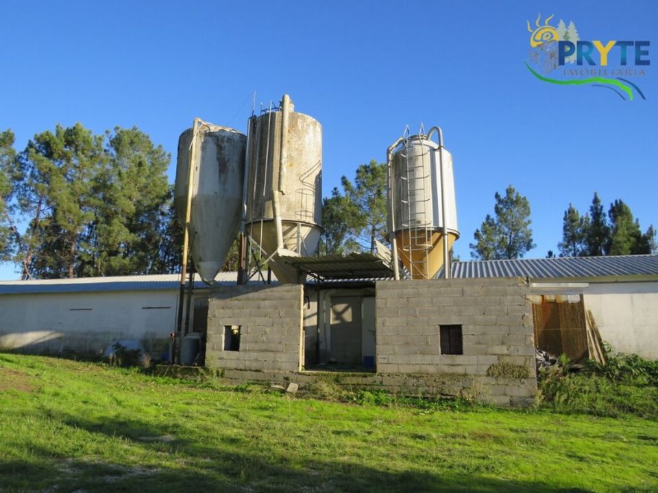 Erhvervsejendom i Varzea dos Cavaleiros, Castelo Branco - foto 1