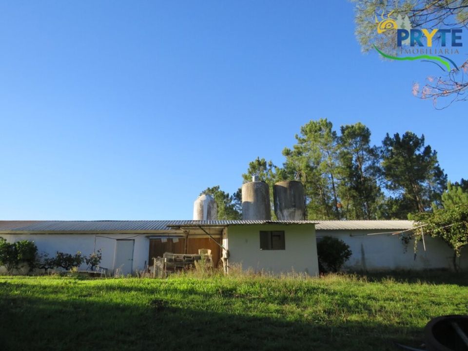 Erhvervsejendom i Varzea dos Cavaleiros, Castelo Branco - foto 3