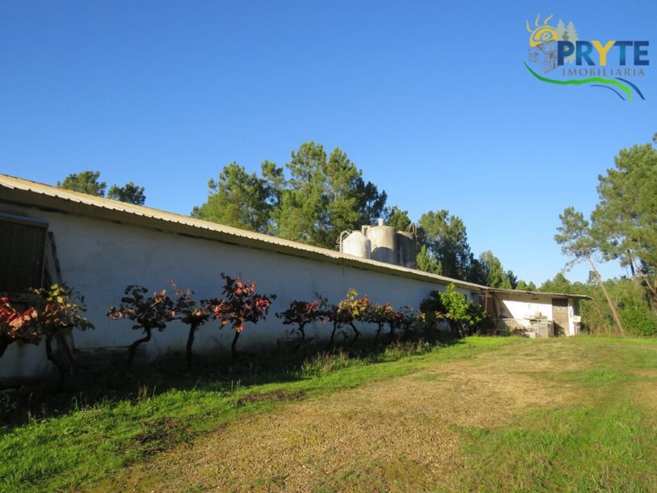 Erhvervsejendom i Varzea dos Cavaleiros, Castelo Branco - foto 5