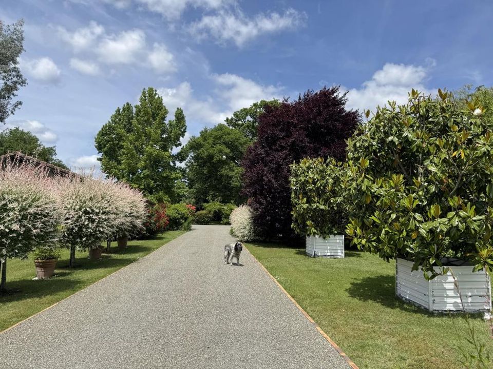 Villa i Morcenx-la-Nouvelle, Landes - foto 4