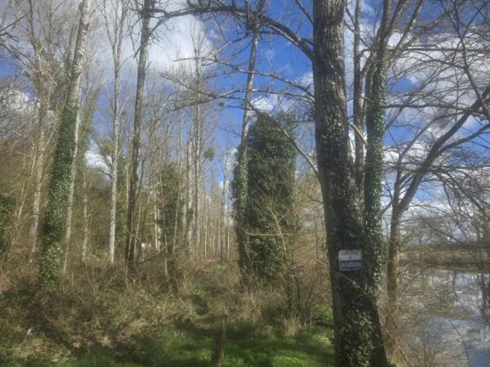 Helårsgrund i Fontgombault, Indre - foto 2